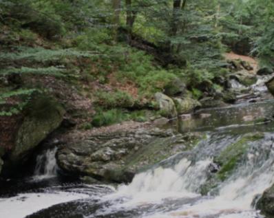 Gite Ardennes Au Coin Du Feu Jacuzzi Sauna Et Nature Jalhay Buitenkant foto