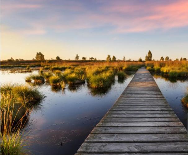 Gite Ardennes Au Coin Du Feu Jacuzzi Sauna Et Nature Jalhay Buitenkant foto
