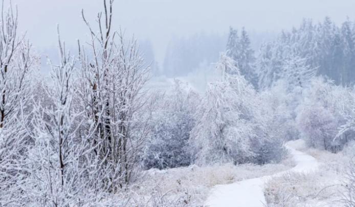 Gite Ardennes Au Coin Du Feu Jacuzzi Sauna Et Nature Jalhay Buitenkant foto